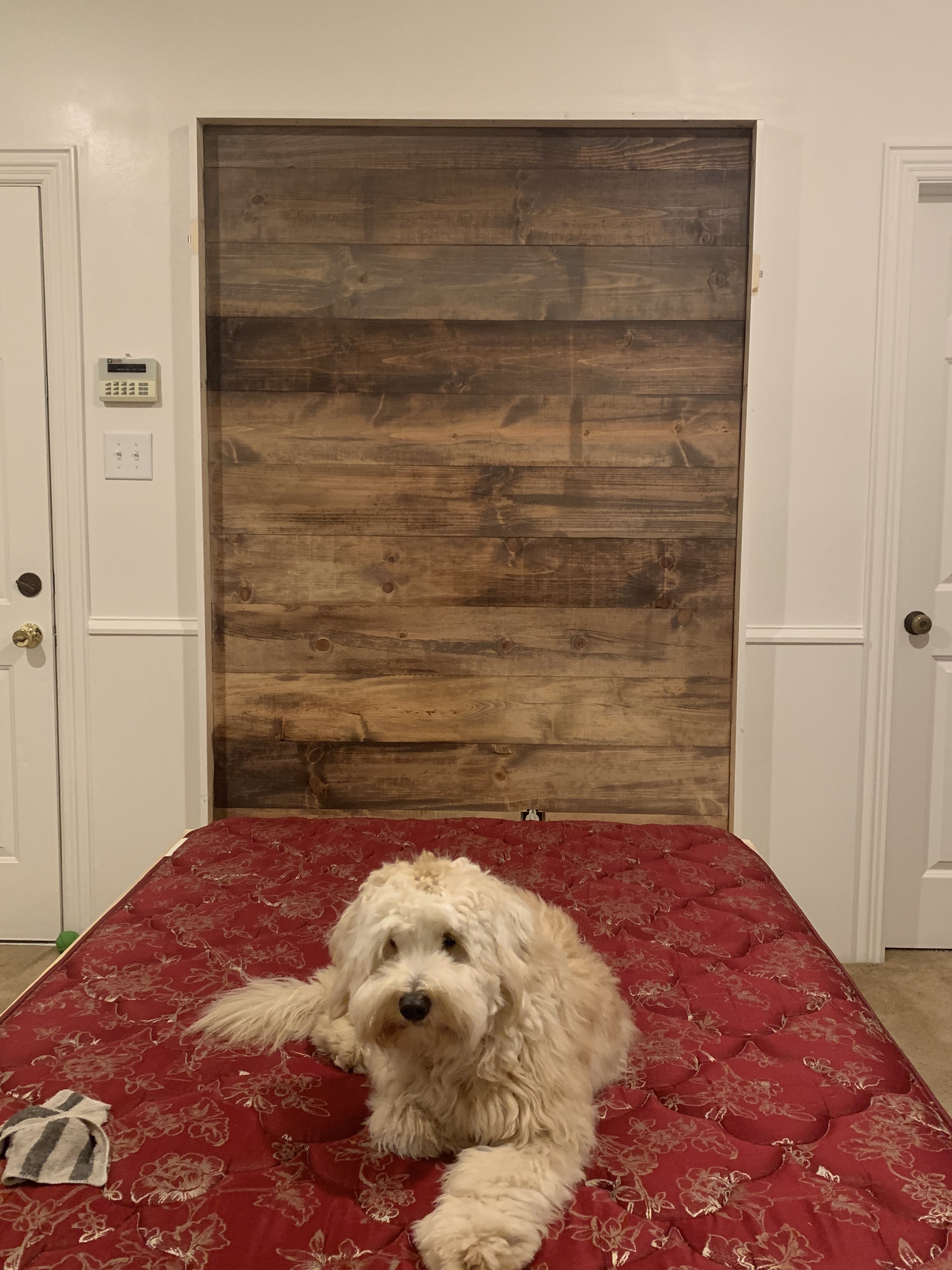 jIp6DZqmS0OkZcG8XsZHbg