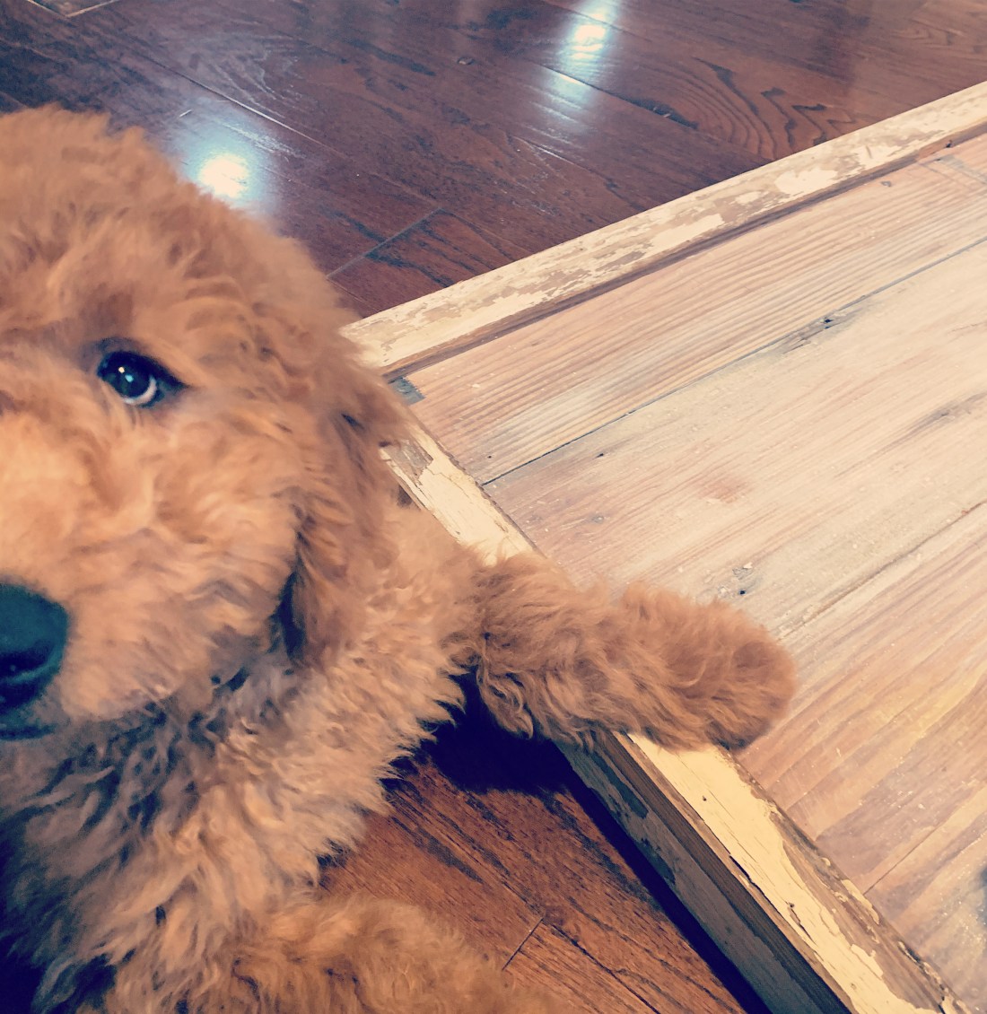 52C4AD9A-05D2-4DDD-B620-2783568DF2D5